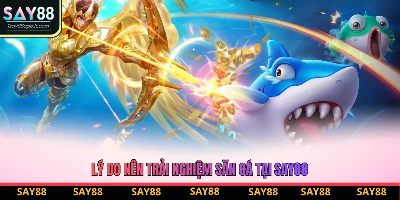 Lý do nên trải nghiệm săn cá tại Say88