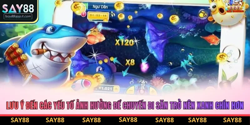 Lưu ý đến các yếu tố ảnh hưởng để chuyến đi săn trở nên xanh chín hơn