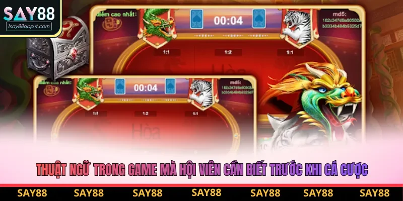 Thuật ngữ trong game mà hội viên cần biết trước khi cá cược Thuật ngữ trong game mà hội viên cần biết trước khi cá cược
