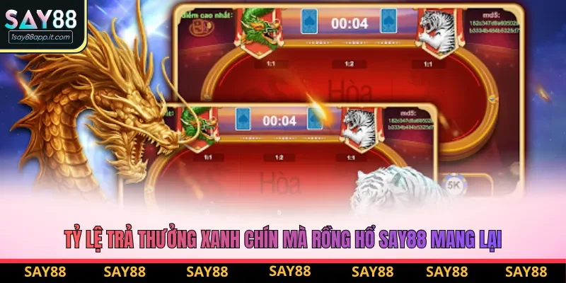 Tỷ lệ trả thưởng xanh chín mà rồng hổ say88 mang lại Tỷ lệ trả thưởng xanh chín mà rồng hổ say88 mang lại