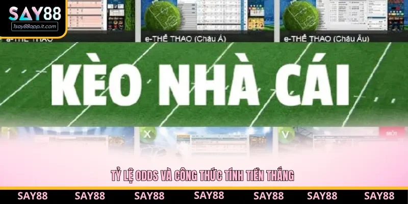 Hiểu công thức tính tiền thắng để tính toán lợi nhuận khi cược