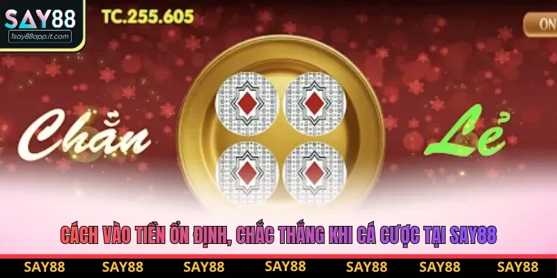 Cách vào tiền ổn định, chắc thắng khi cá cược tại say88