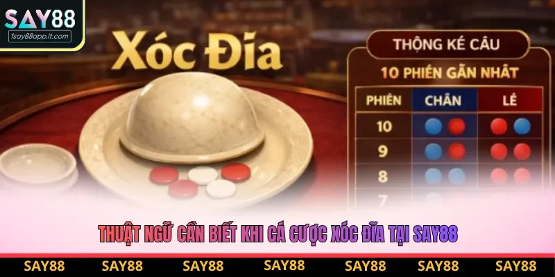 Thuật ngữ cần biết khi cá cược xóc đĩa tại say88